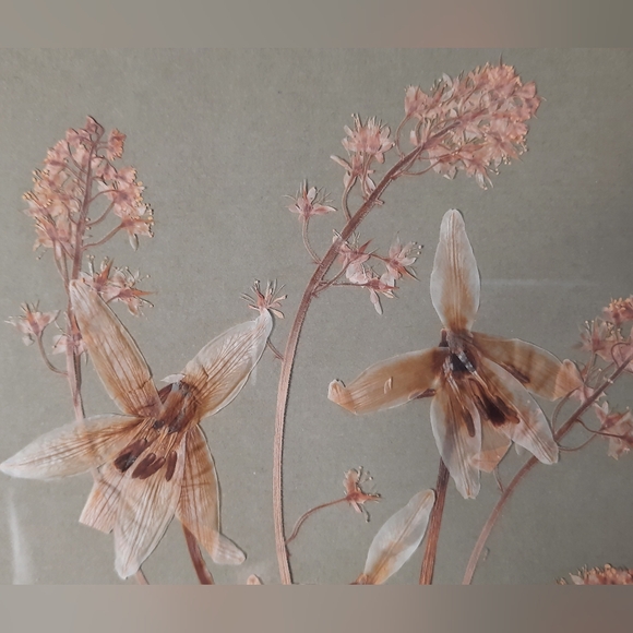 Vintage Pressed Flowers Framed Wall Art Decor Artist Signed - Picture 6 of 10
